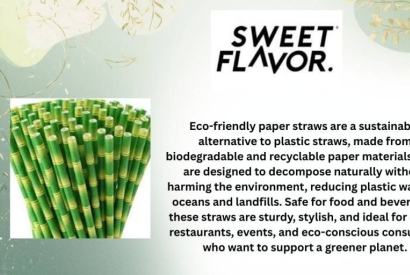 Sustainable Dining with Eco Friendly Straws and Steamers